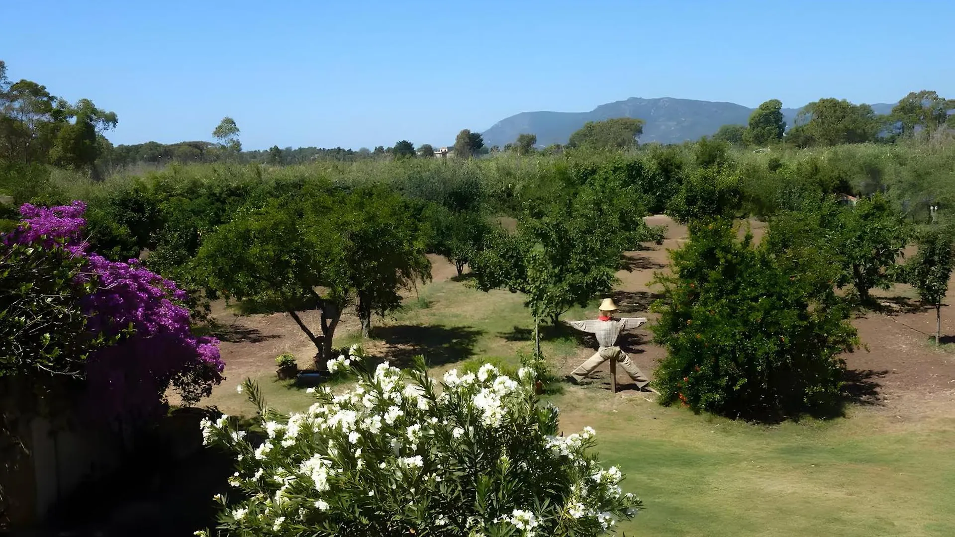 Holiday home Casa Peppina Villa Sulla Spiaggia Pula